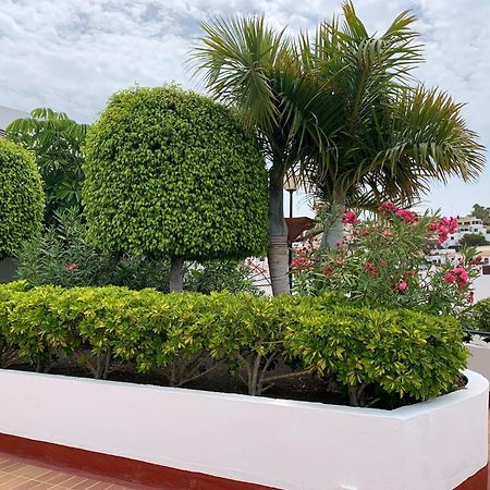 Ocean Breeze And Seaview Resort Costa Adeje  Εξωτερικό φωτογραφία