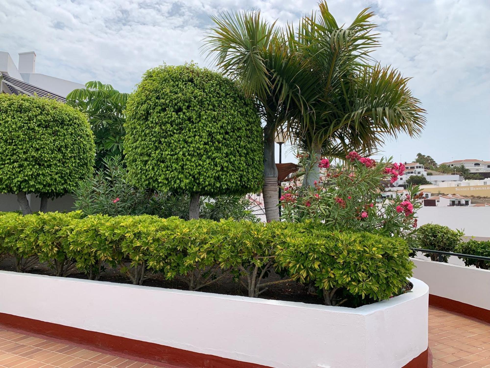 Ocean Breeze And Seaview Resort Costa Adeje  Εξωτερικό φωτογραφία
